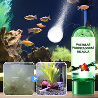 💧🐠 Tableta de Purificación para Acuarios | Elimina Cloro, Algas y Suciedad ✨ Agua Cristalina y Protege a tus Peces