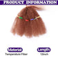 Cabello Trenzas Rizado de 12 Pulgadas