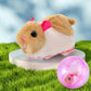 🥳2026 HOT SALE🥳💞50K+ SOLD! 💖🐱Interactive Plush Animal Rolling Ball