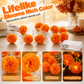 🌼Limited Time 50% Off! 🎃Artificial Marigold Flower LED String Lights – Waterproof 8 Lighting Modes, 20 LEDs Battery Powered, Decor for Halloween, Day Of The Dead Altar, Porch & Indoor Festival Decor