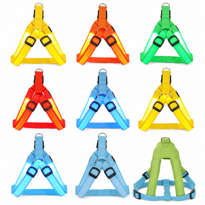 🐕 50% OFF! 💡 LED Dog Harness – Luminous, flashing & adjustable fit ✨